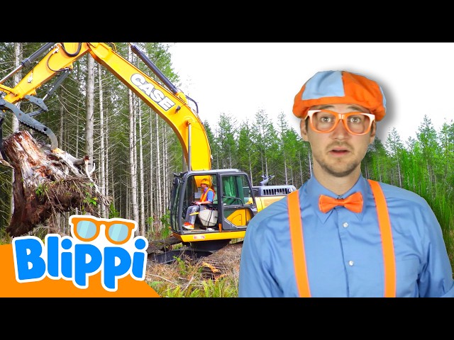 Blippi's Excavators Challenge | Blippi's Excavator Learning | Learn Vehicles with Blippi!
