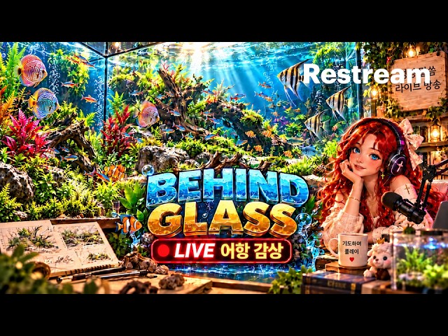 ✞ 말씀을 들으며 게임은 거들 뿐 | 어항 감상