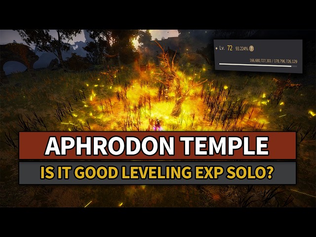 Is Aphrodon Temple Good For Solo Leveling EXP? | Black Desert.