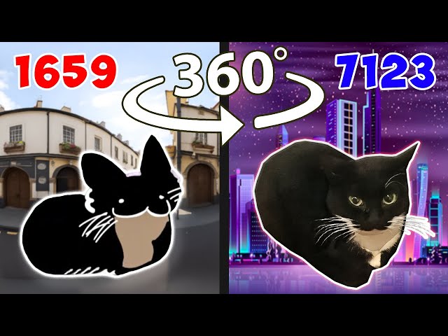 Evolution Of Maxwell Cat 360° Video | VR 360 🔎🐈‍⬛
