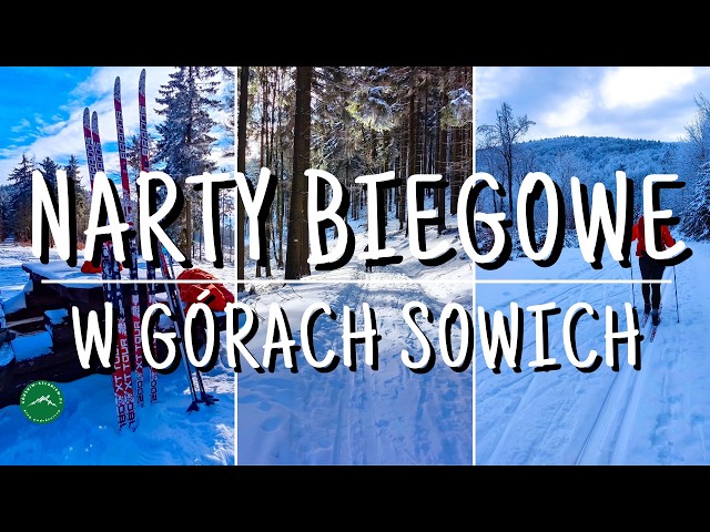 CROSS-COUNTRY SKIING IN THE OWL MOUNTAINS - How to start your first adventure with cross-country ...