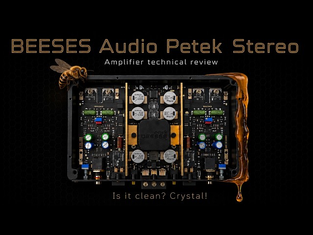Beeses Audio Petek Stereo amplifier technical review