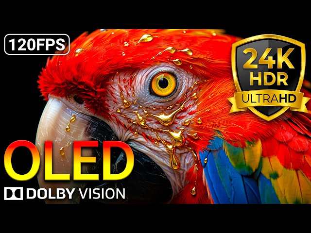 Beyond Realism: 24K HDR 120FPS Wildlife Dolby Vision OLED Test (8K/4K Video)