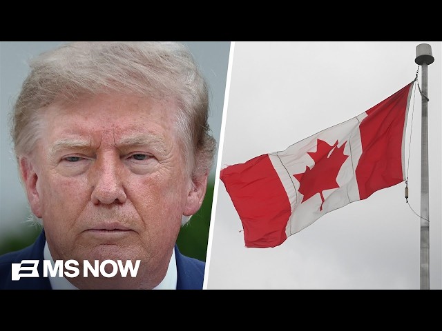 'Democracy is on life support' in the U.S.: Fmr. Dep. PM of Canada