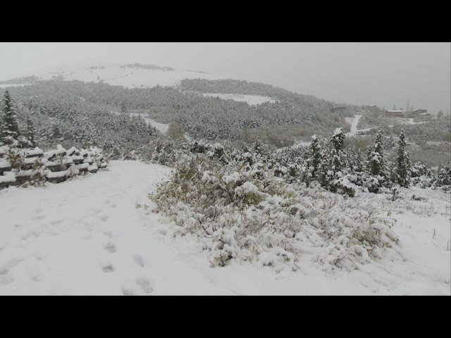 Checking out Alaska's fresh snow!