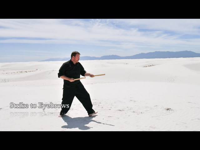 Tai Chi - Chen Double Bang (Ruler/Baton) Form