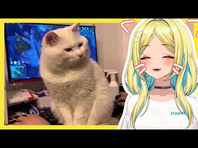MIAAOOO! Nyoom Reacts to Cat Videos