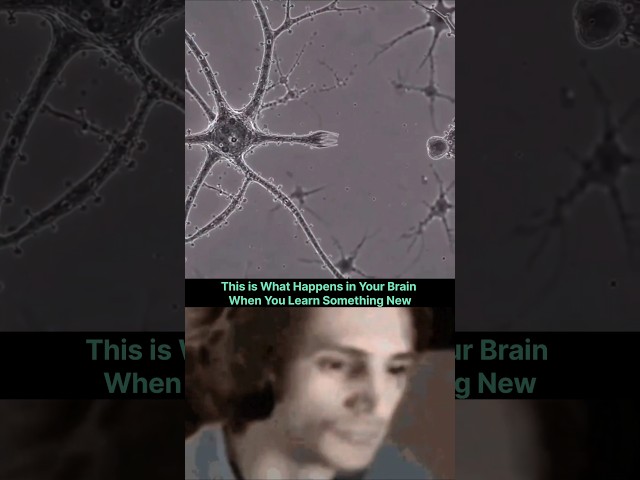 This is What Learning Looks Like Inside Your Brain #shorts #medical #science