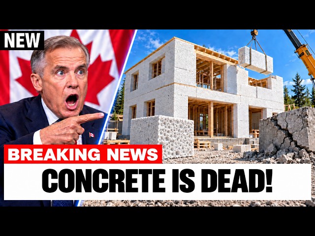Canada's New Discovery Could Replace Concrete Forever