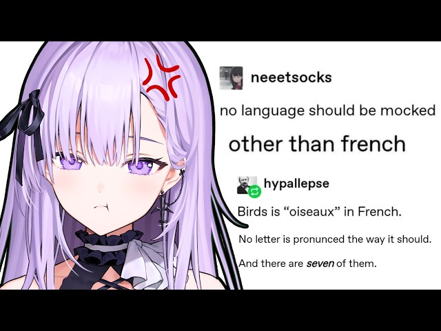 French Vtuber Reacts To MORE LANGUAGE MEMES !