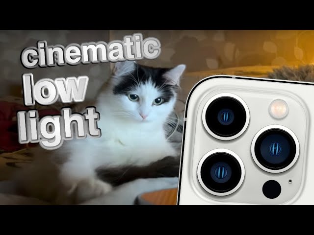 iPhone 13 pro max low light cinematic video test REAL ORIGINAL