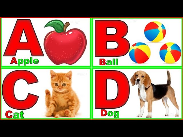 English Alphabet | ABCD | Learn abcd | Alphabet Vocabulary | A for Apple , B for Ball, C for Cat