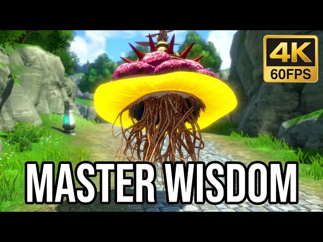 Trials in the Sky 2nd Chapter - How to Defeat Master Wisdom Boss - Elize Hwy Monster Sidequest