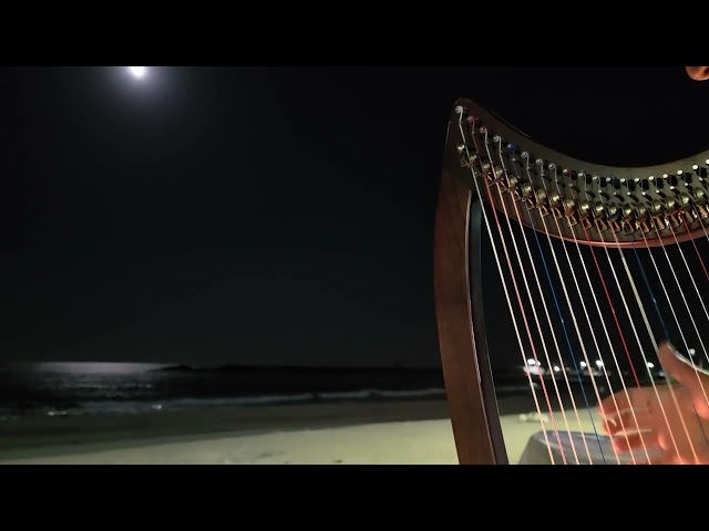 하프맨 harpman - 21 아름다운 오도리 해수욕장에서 보름달이 뜨면 하프 연주소리가 저절로 파도를 치게하고... 포항 공룡 다이아몬드 공원 해변에서 다이아몬드 찾기-785