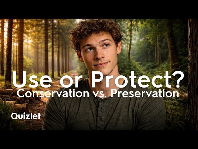 Environmental Conservation vs Preservation | Key Differences Explained