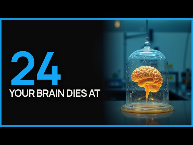 Your Brain Peaks at 24. Let me explain