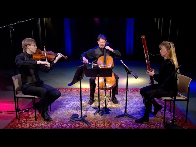 Paradox and Son | Inland Sessions | KSPS PBS