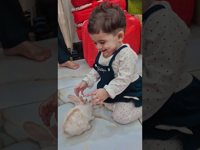 #cute #babygirl #princess ##funny #memes #ukhills #papakipariya #viralvideo