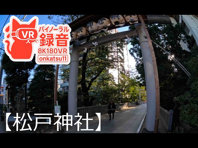 [8K VR180]⛩️[Matsudo Shrine Before the Shinkosai — Sacred Silence of a Historic Japanese Shrine]①