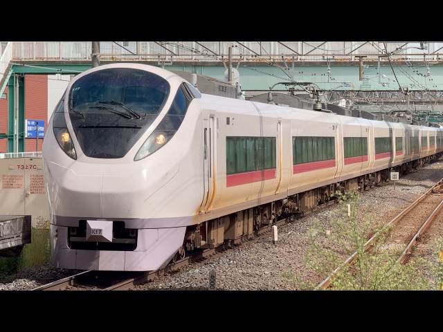 JR東日本E657系カツK17編成 柏 到着 2026/09/22