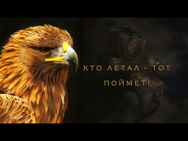 Who Flew Understand –Egor and Nataliya Lansere. footage: Brothers of the Wind
