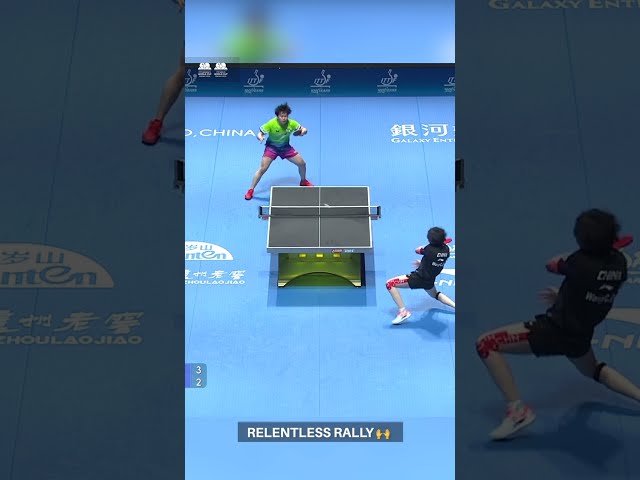 Wang Chuqin vs Sora Matsushima Intense Table Tennis Rally