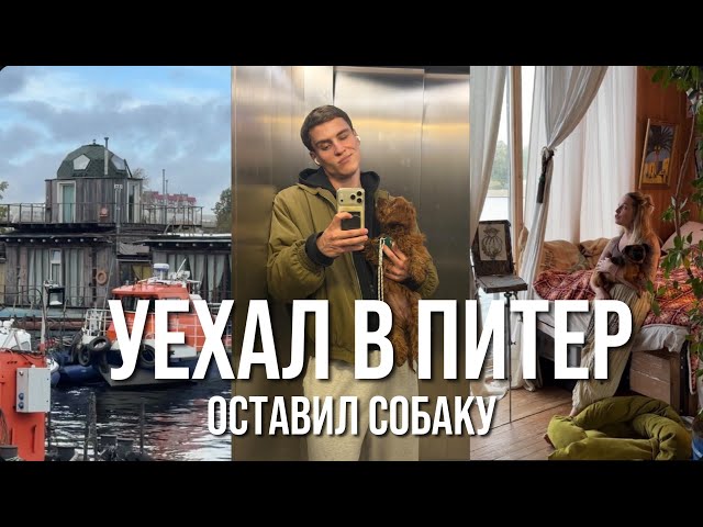 Moved to St. Petersburg. A floating apartment or life on a 40-square-meter boat. Tofi stayed in M...