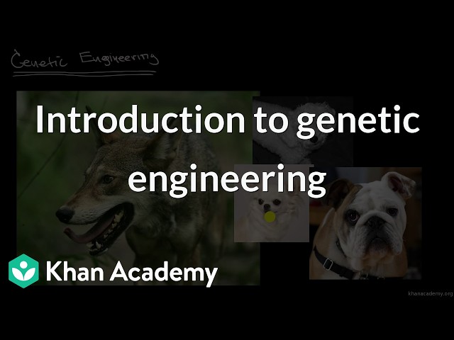 Introduction to genetic engineering | Grade 12 | Biology | NCERT | Khan Academy (IN accent)