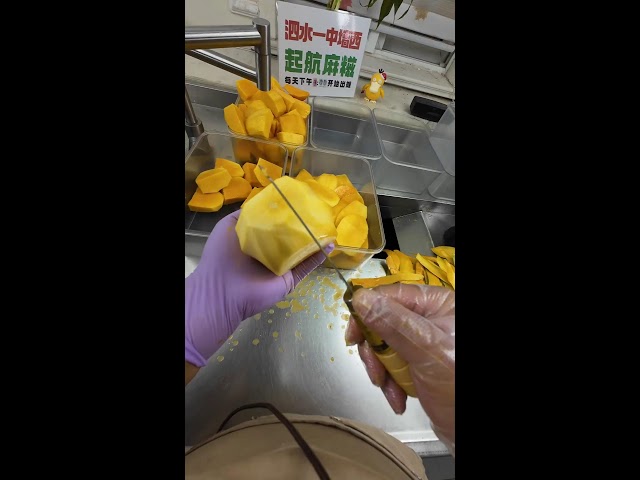 Parmentier Dort Live Stream