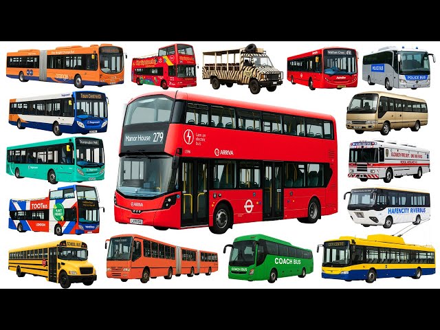 Bus Names for Kids 🚌 | Learn Vehicle Names in English | City Bus, School Bus & More