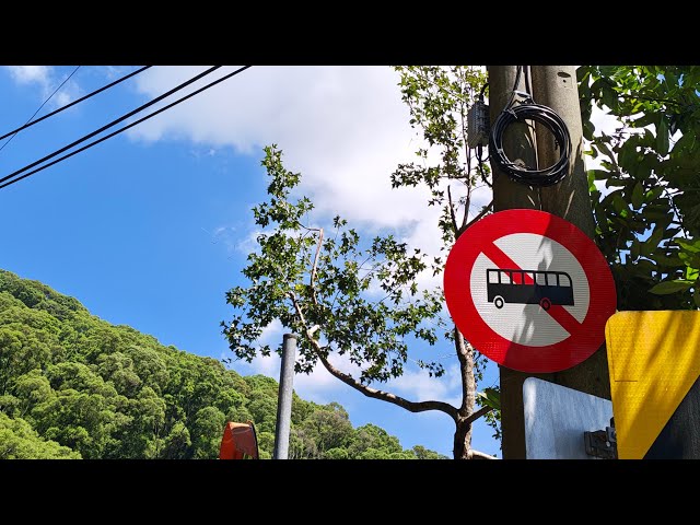 台24霧台公路5.6k 三德郊區開頭紅楓香
