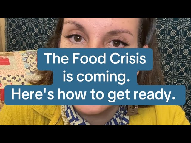 The Food Crisis is coming. Here's how to get ready. 