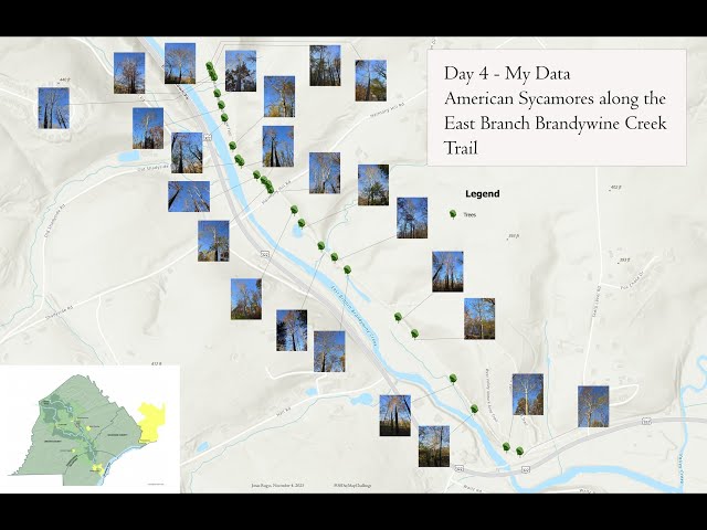 HOW-TO:  ArcGIS Field Maps for Photo Point Collection - Photo Map Creation in ArcGIS Pro