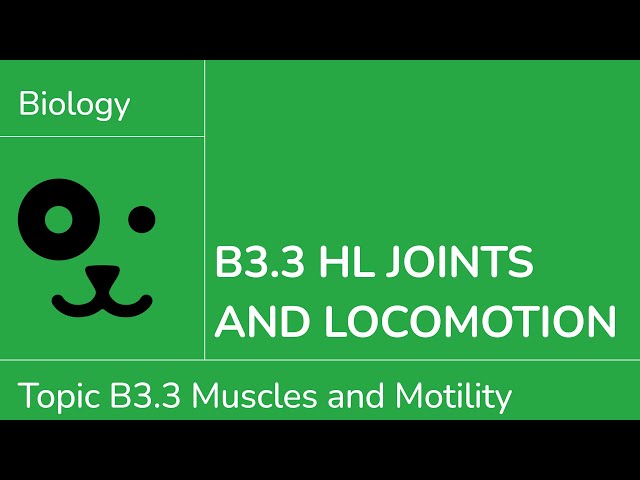 B3.3 HL Joints and Locomotion [IB Biology HL]