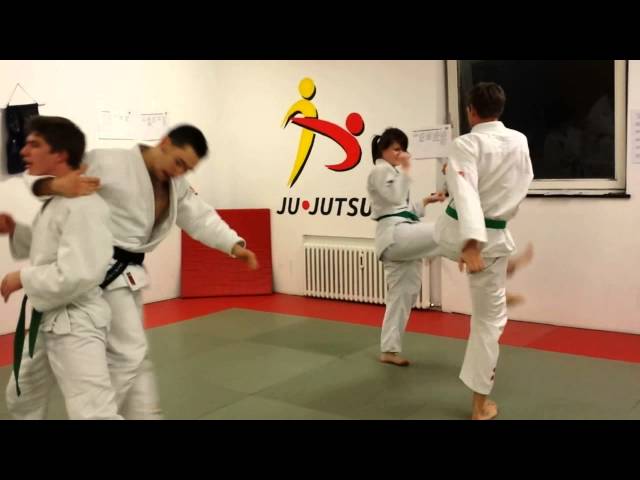 Budokwai Ju-Jutsu Training