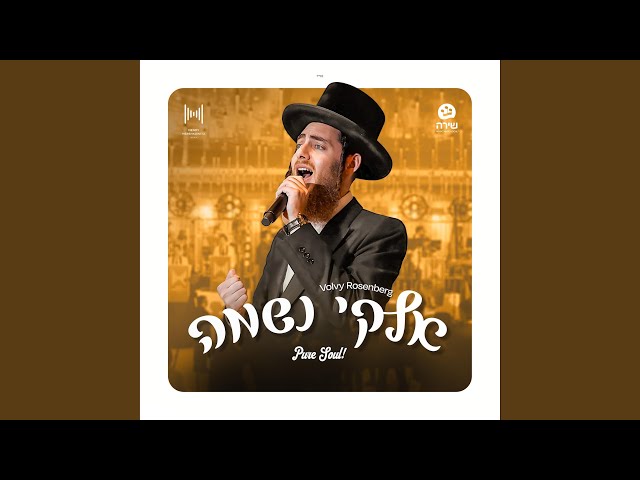 Elokai (Shauly Waldner שאולי וולדנר)