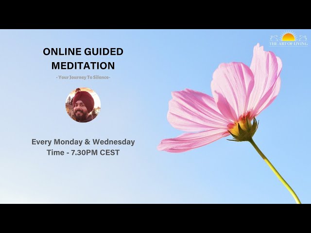 Online Guided Meditation