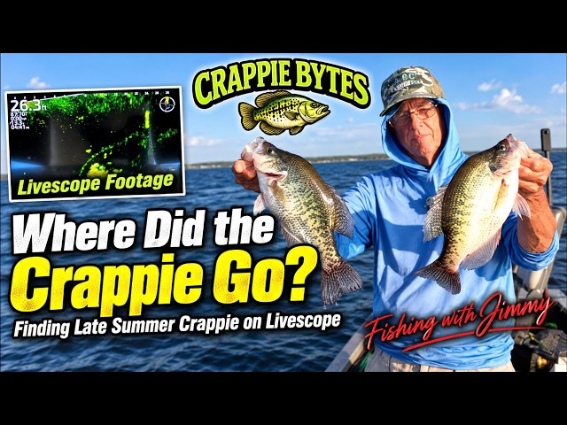 Where Did the Crappie Go?  Finding Late Summer Crappie on Livescope #livescope  #crappiefishing