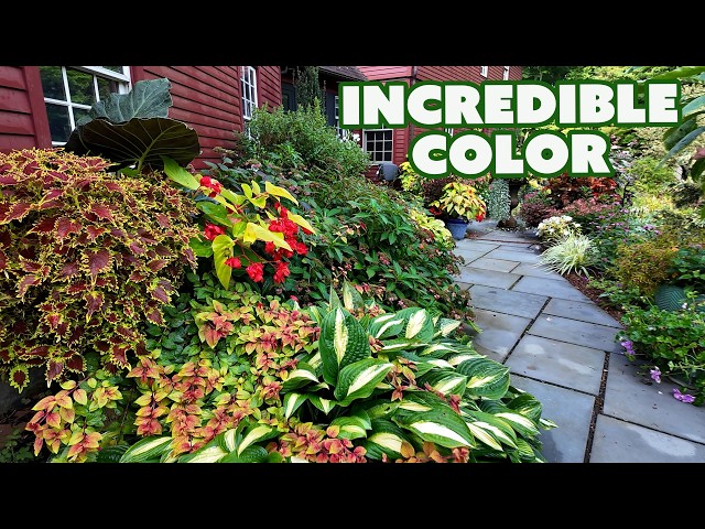 Incredible Garden Walkthrough in Connecticut with Birds and Insects