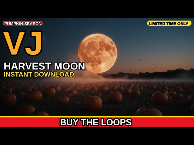 Harvest Moon Over The Patch Pumpkin Season VJ Loop by Chromatomorphosis