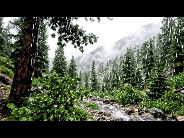 Pioggia Intensa tra Montagne e Foreste 🌧️ Suoni Rilassanti per Dormire e Rilassarsi