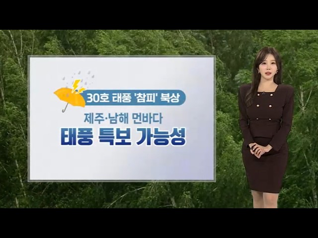 [Weather] Rain in the South due to Typhoon 'Champi'... Up to 250mm or more in Jeju mountains / Yo...