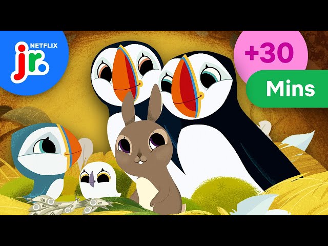 30 Minutes of Oona ADVENTURES with Friends! 🐧💫❄️ | Puffin Rock | Netflix Jr