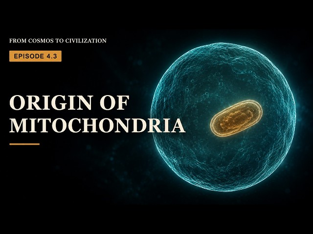Science Documentary - Where Mitochondria Came From