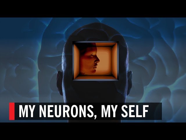 My Neurons, My Self | World Science Festival