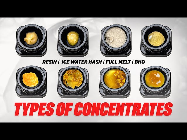 Types Of Concentrates : Explained