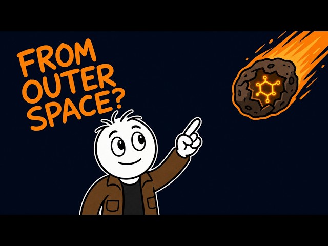 Did the Ingredients for Life Come From Outer Space?