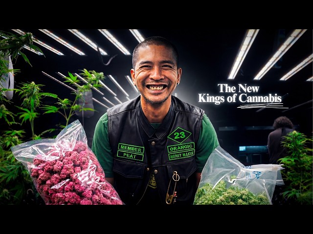 Inside Thailand's Booming Weed Industry | Documentary