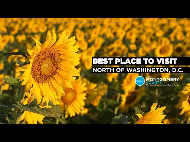 Visit Montgomery County, Maryland