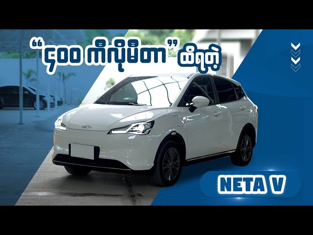 NETA V | Short review